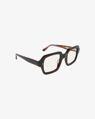 Gabriel Tortoise
