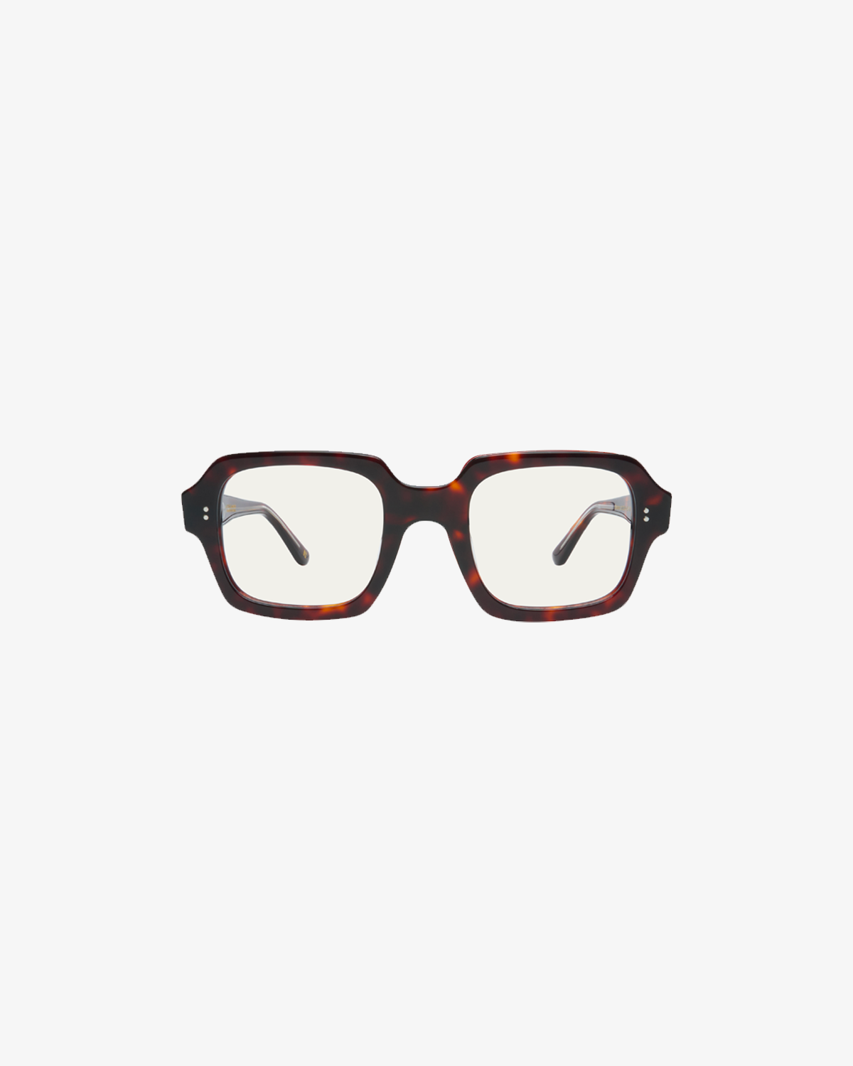 Gabriel Tortoise
