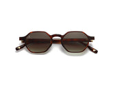 ONE SUN MARRON/VERRE VERT