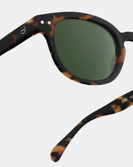 C Tortoise Polarized