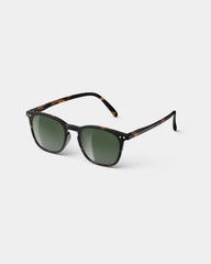 E Tortoise Polarized
