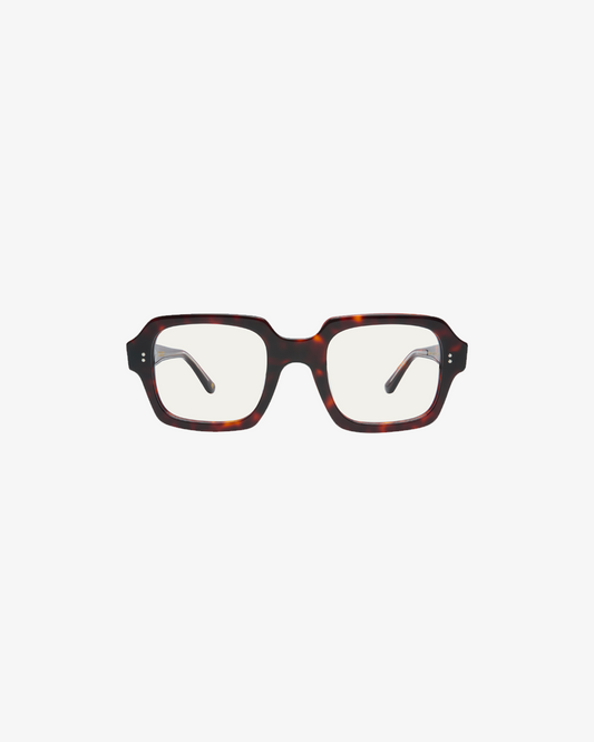 Gabriel Tortoise
