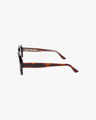 Gabriel Tortoise