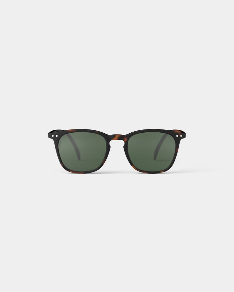 E Tortoise Polarized