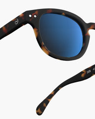 C Tortoise Mirror
